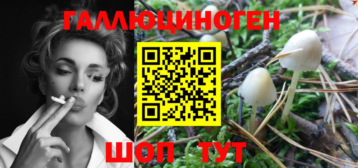 Псилоцибиновые грибы MAGIC MUSHROOMS Сальск