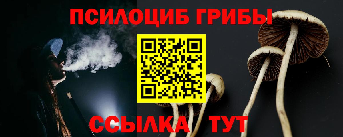 даркнет сайт  Вход с VPN  Сальск  Псилоцибиновые грибы MAGIC MUSHROOMS 